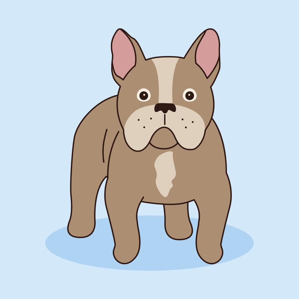 el bulldog francés se para derecho y mira hacia adelante. ilustración vectorial de una mascota al estilo de las caricaturas. ilustración aislada de un perro sobre un fondo azul. vector