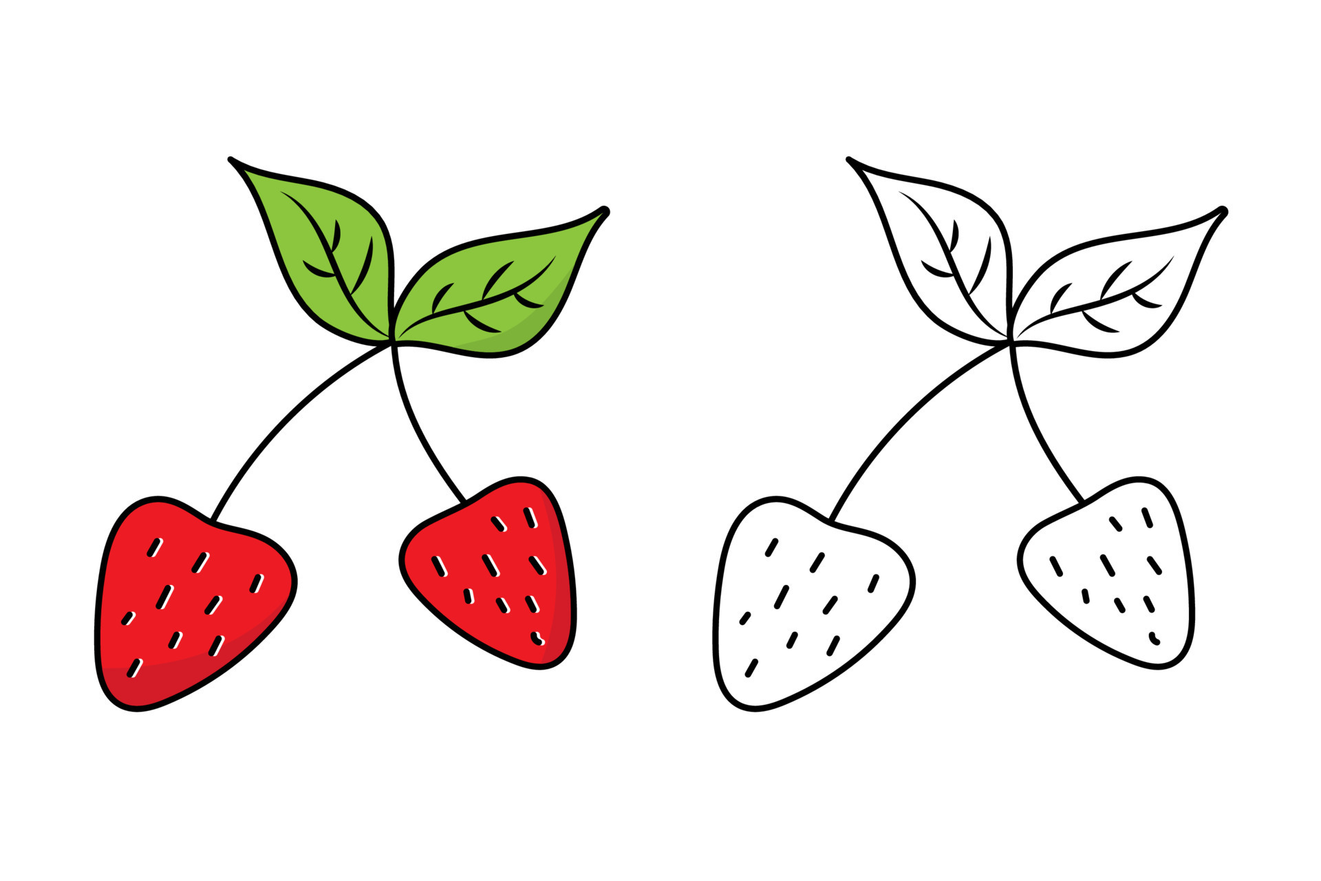 Strawberry with twig and leaves. Vector illustration. Linear drawing of ...