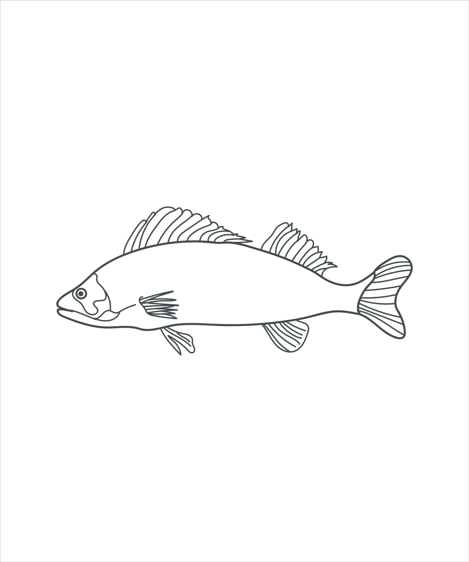 illustration of a fish line art on white 18976323 Vector Art at Vecteezy