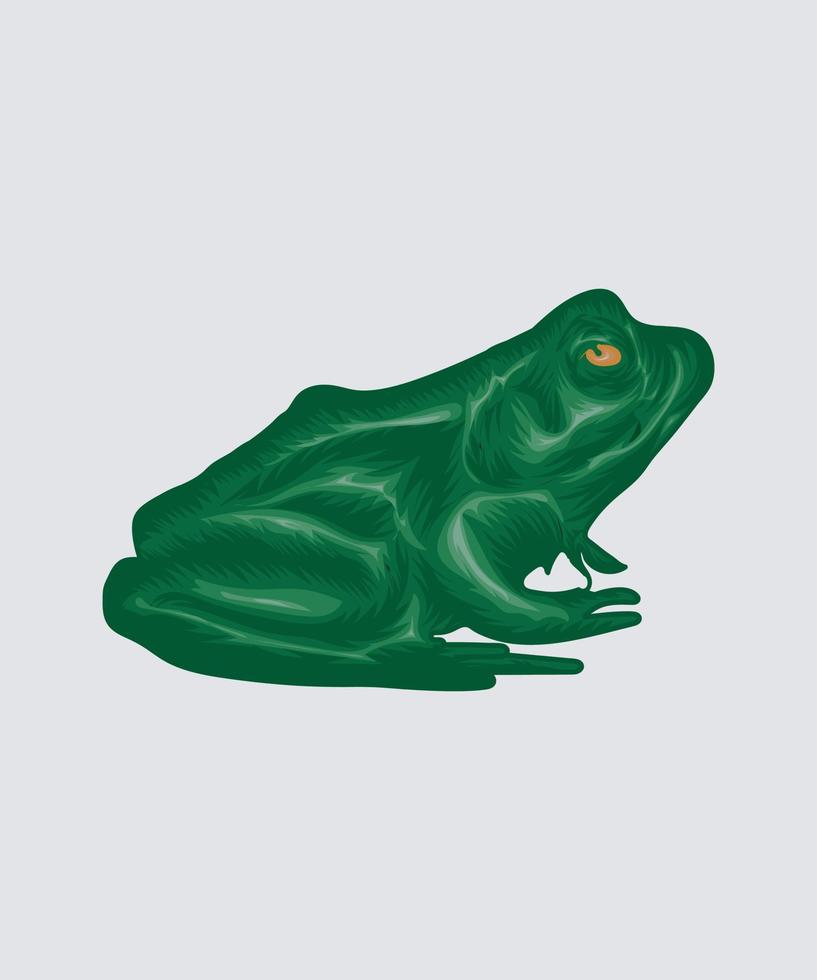 ilustración de ranas verdes vector