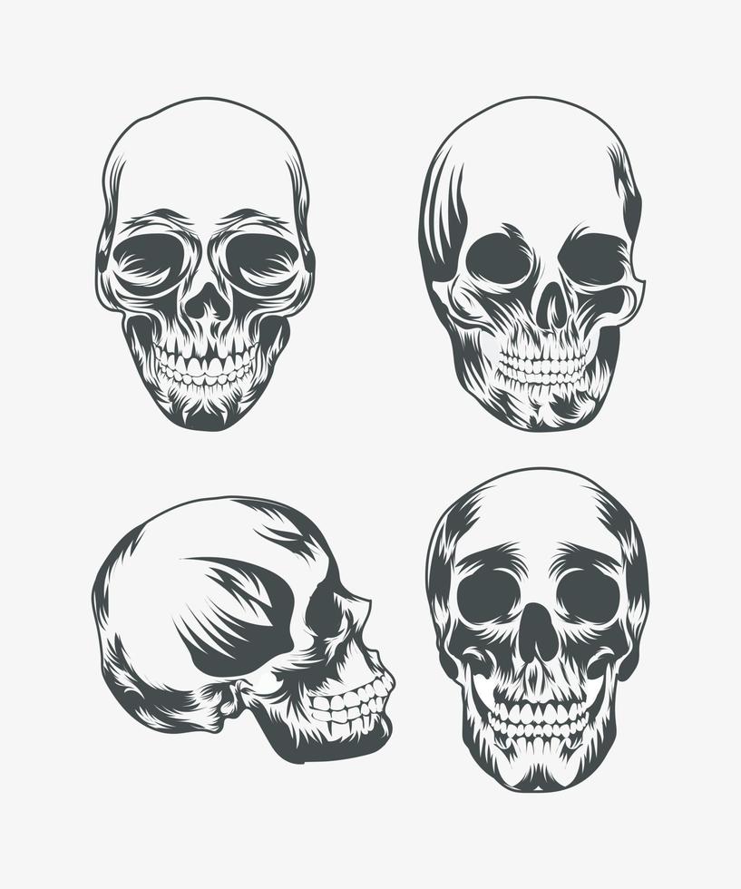 Ilustración de vector de cabeza de cráneo humano
