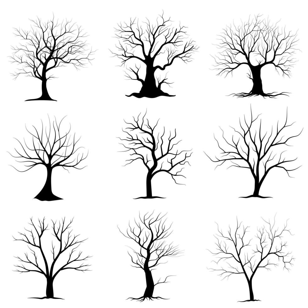 conjunto de siluetas de árbol de rama negra o árboles desnudos. ilustraciones aisladas dibujadas a mano. vector