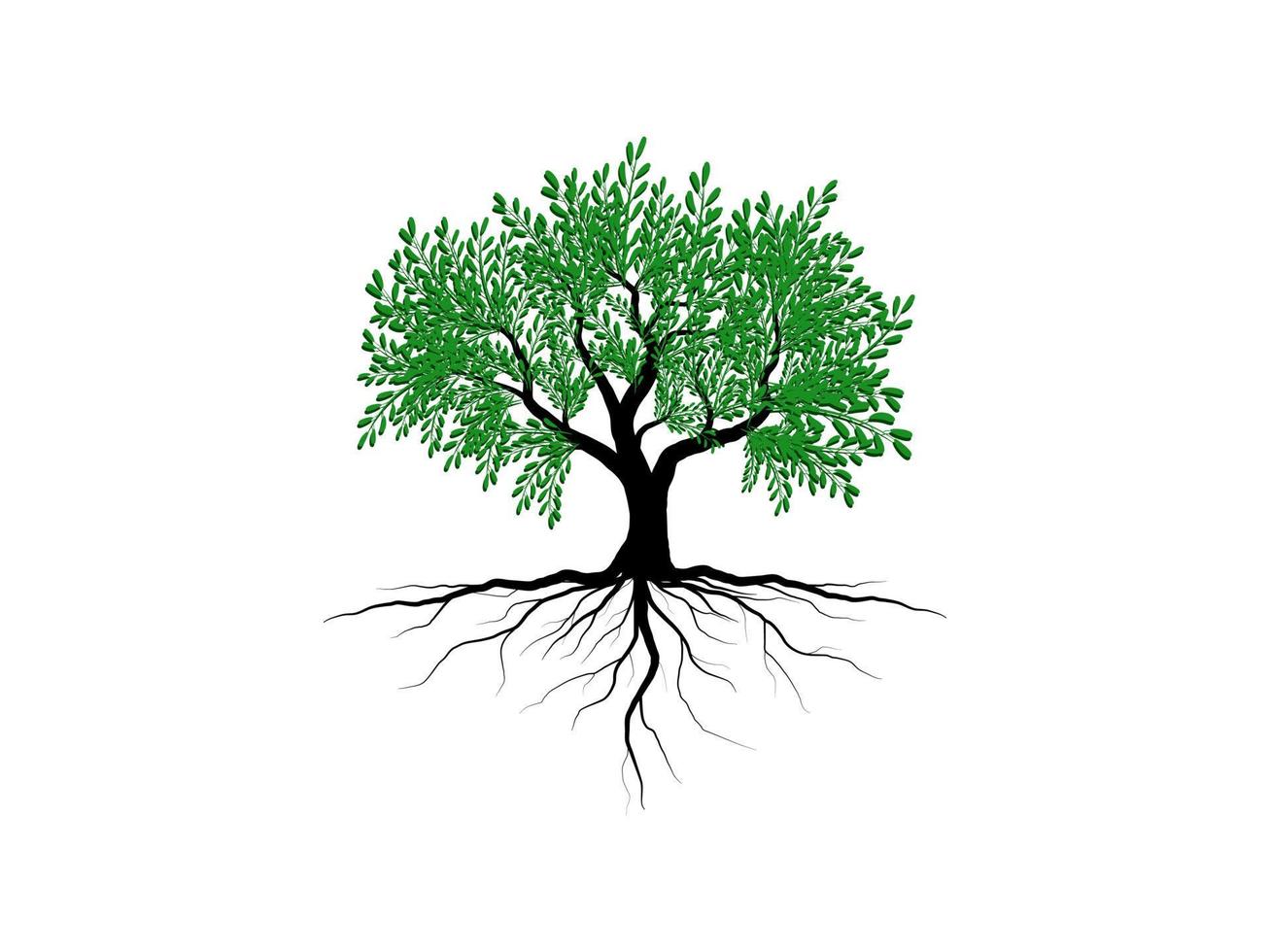 Trees and root with green leaves look beautiful and refreshing. Tree and roots LOGO style. vector