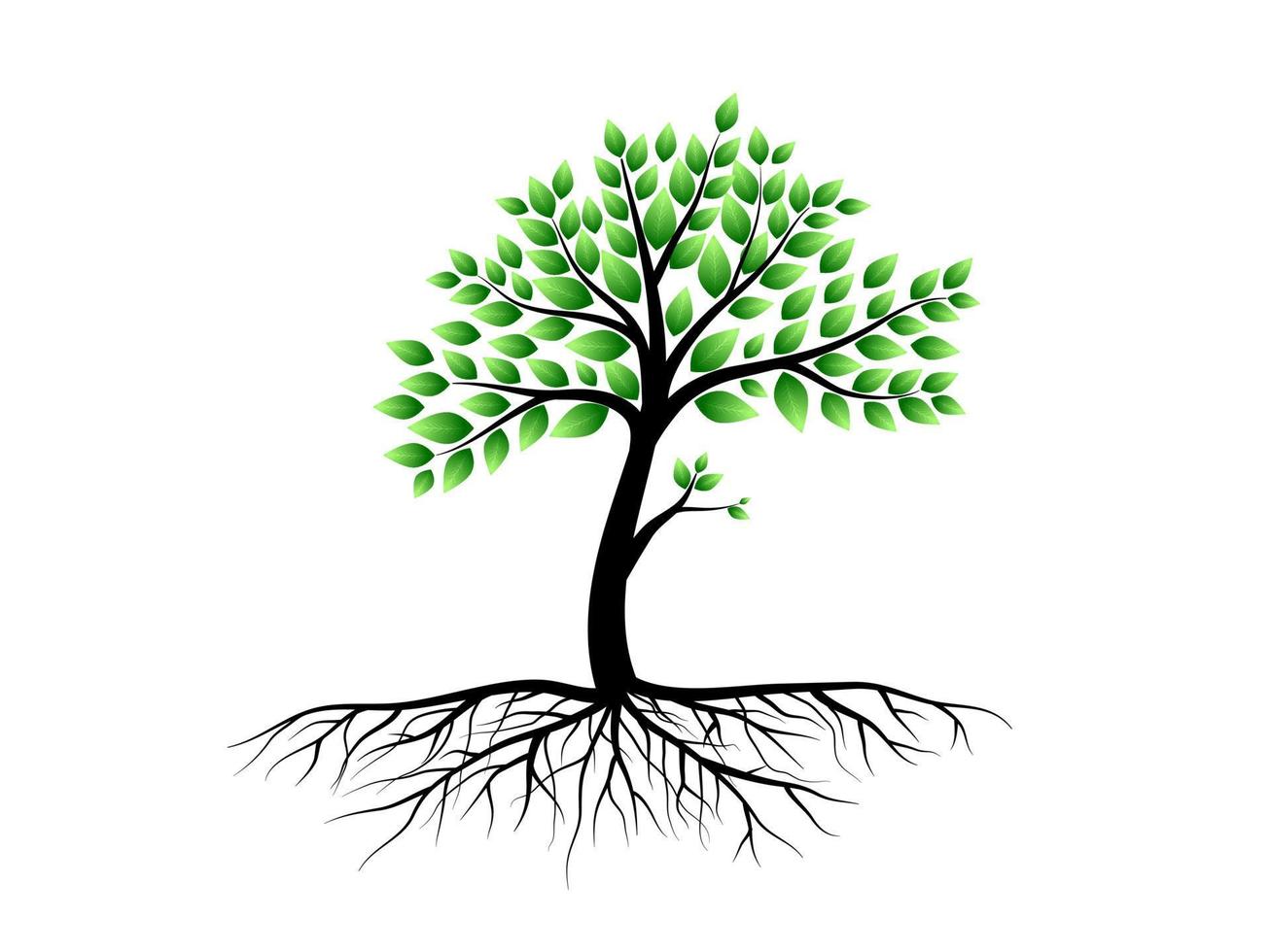 Trees with green leaves look beautiful and refreshing. Tree and roots LOGO style. vector