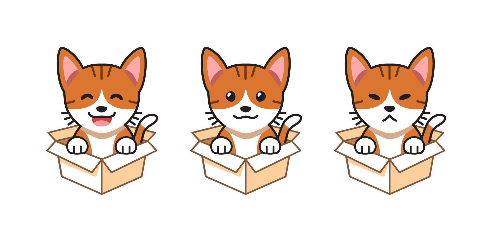 conjunto de ilustración de dibujos animados vectoriales de gato atigrado que muestra diferentes emociones en cajas de cartón vector