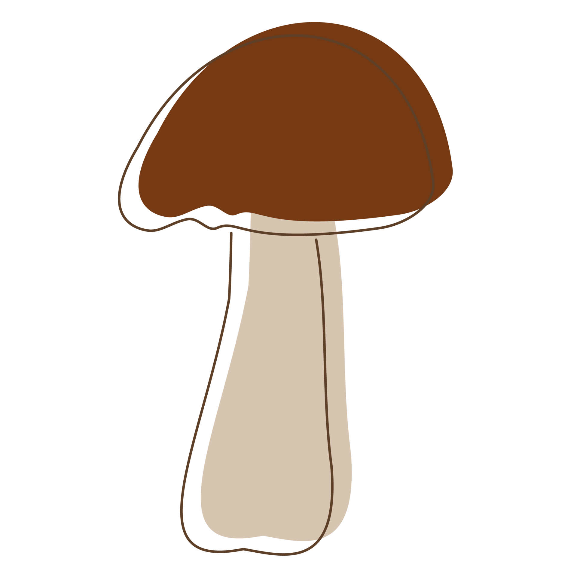 Shiitake mushroom lineart. Edible Organic mushrooms. Truffle brown cap