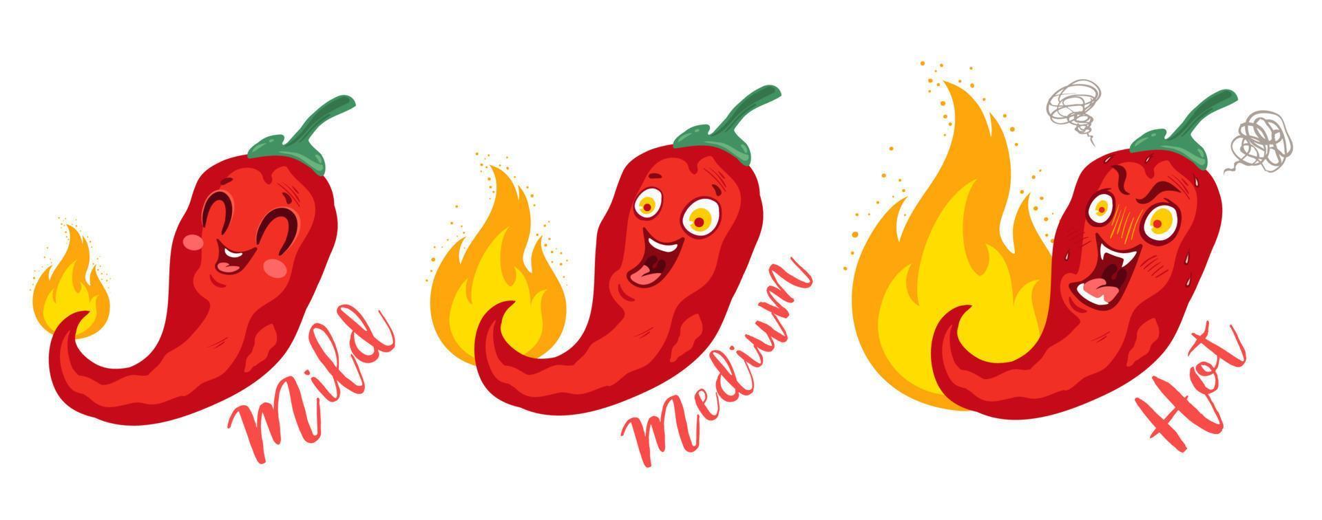 chilli for mexican or thai food vector