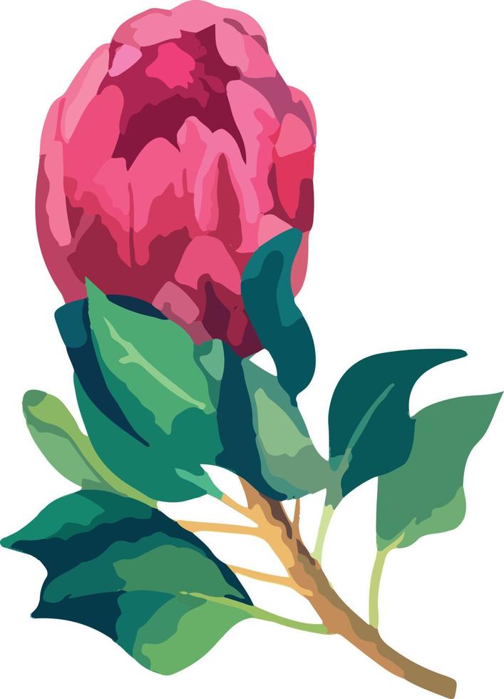 establecer una ilustración vectorial realista de las flores de protea. flor rey tropical protea en flor. diseño para imprimir tarjetas de felicitación, invitación, tela, papel de regalo. vector