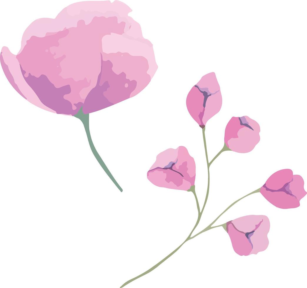 conjunto de flores de acuarela vectoriales, ilustración botánica en color magenta. ideal para tarjetas de boda, estampados, patrones, diseño de empaques. vector