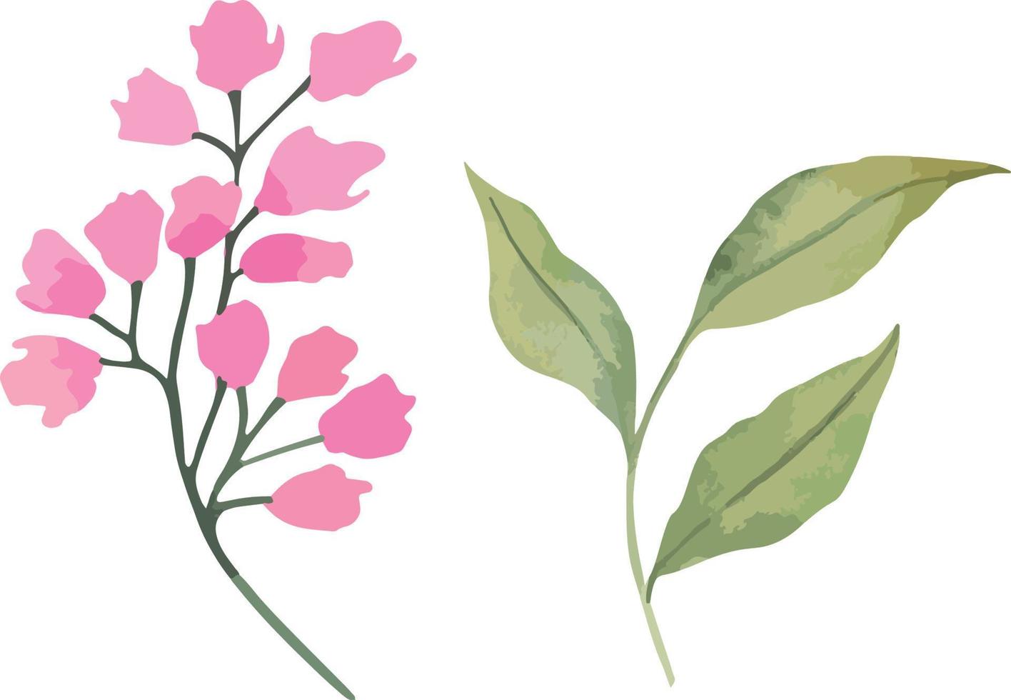 Set of vector watercolor flowers, botanical illustration in magenta color. Ideal for wedding cards, prints, patterns, packaging design.