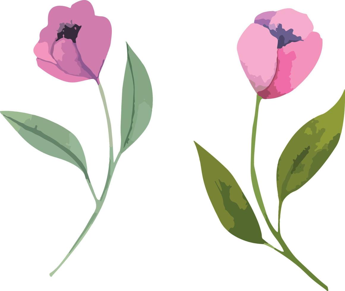 Set of vector watercolor flowers, botanical illustration in magenta color. Ideal for wedding cards, prints, patterns, packaging design.