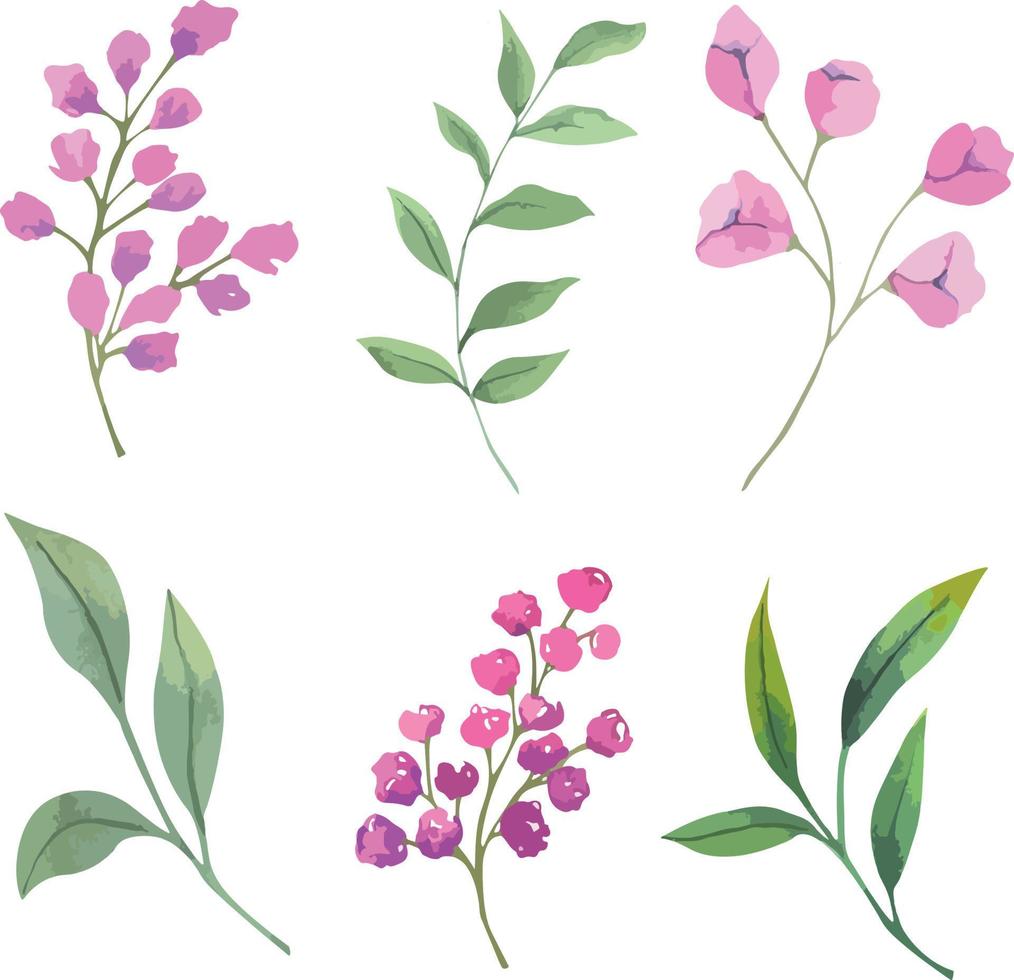 Set of vector watercolor flowers, botanical illustration in magenta color. Ideal for wedding cards, prints, patterns, packaging design.