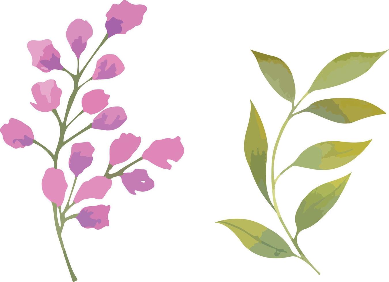 Set of vector watercolor flowers, botanical illustration in magenta color. Ideal for wedding cards, prints, patterns, packaging design.