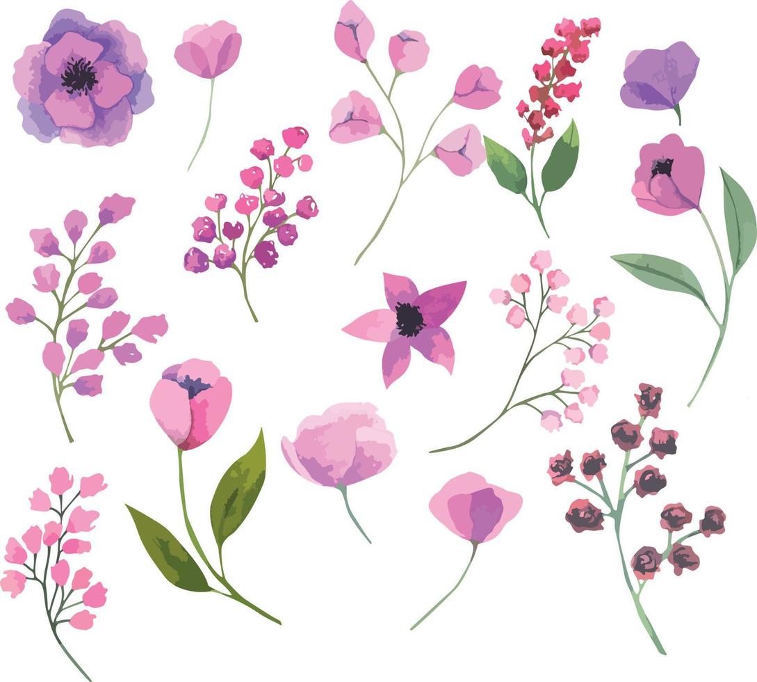 Set of vector watercolor flowers, botanical illustration in magenta color. Ideal for wedding cards, prints, patterns, packaging design.