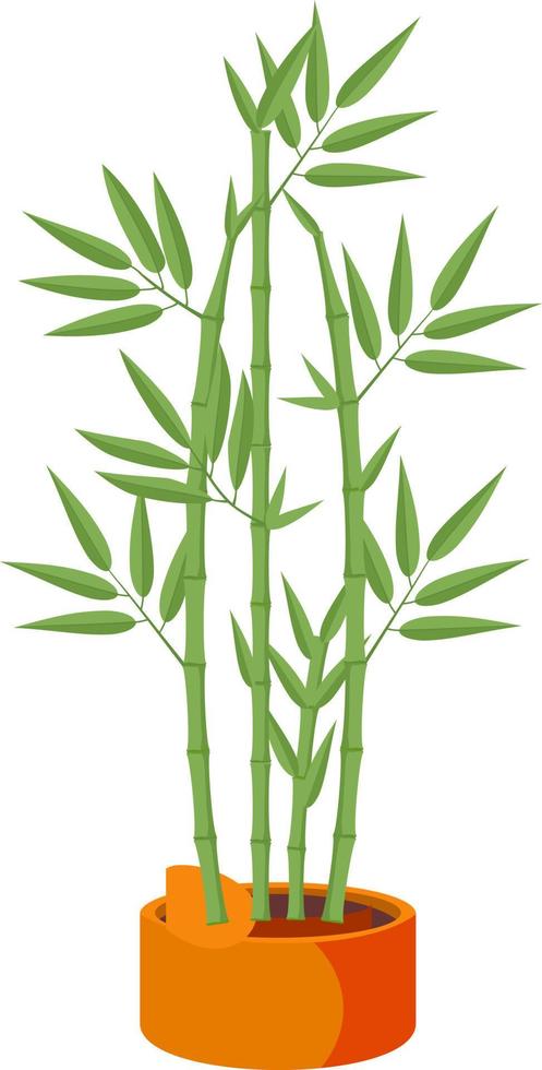 Vector Illustration of isolated bamboo in pot on white background. For flower shop banner, poster. Elements for design house, room or office interior. Bamboo lucky plant in pot