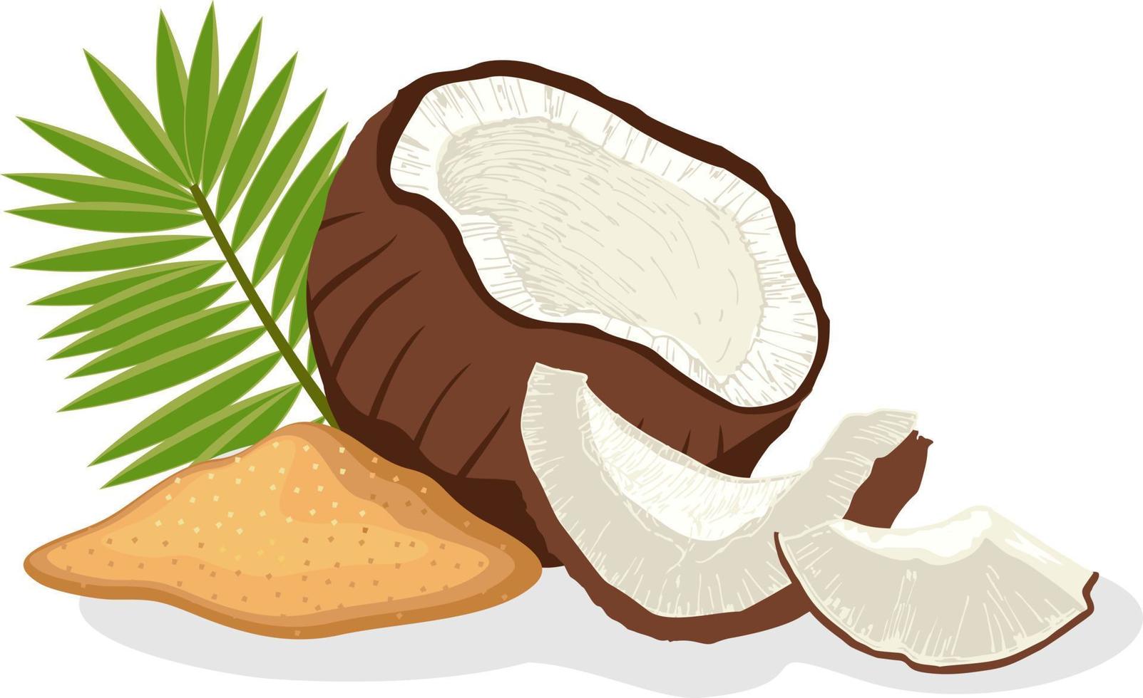 Cartoon coconut sugar. Food sweetening, gourmet nutrition, palm leaf vector