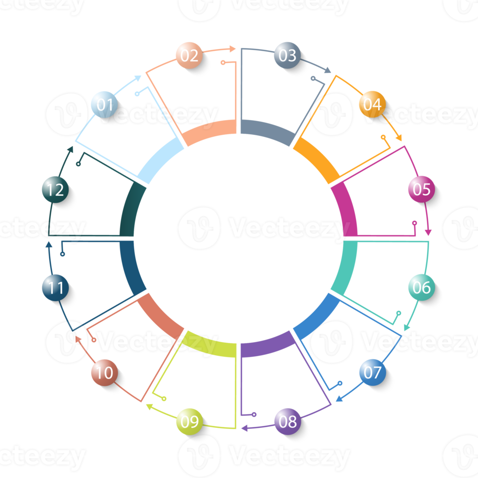 infografía con 12 pasos, procesos u opciones. png