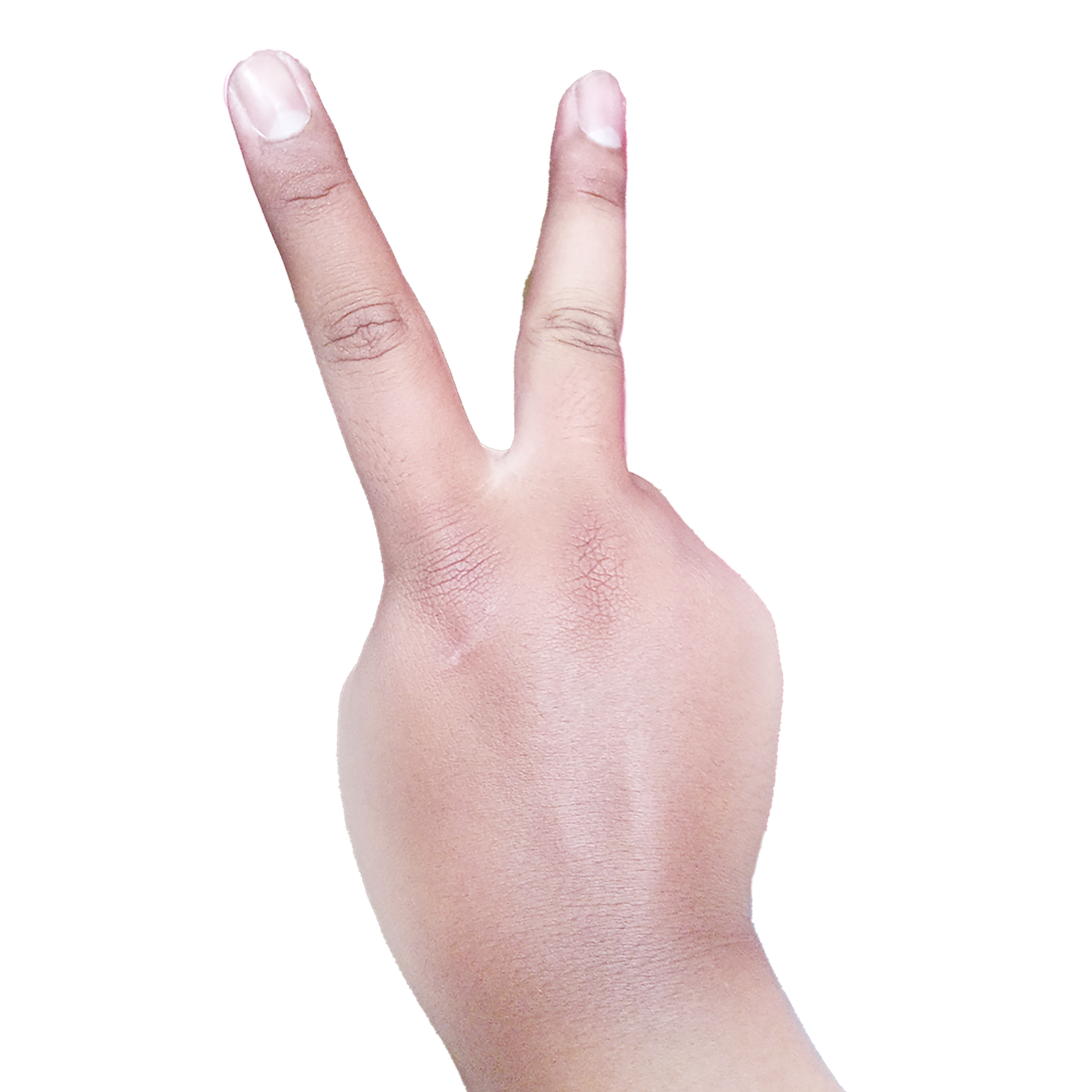 Peace Hand Sign PNGs for Free Download