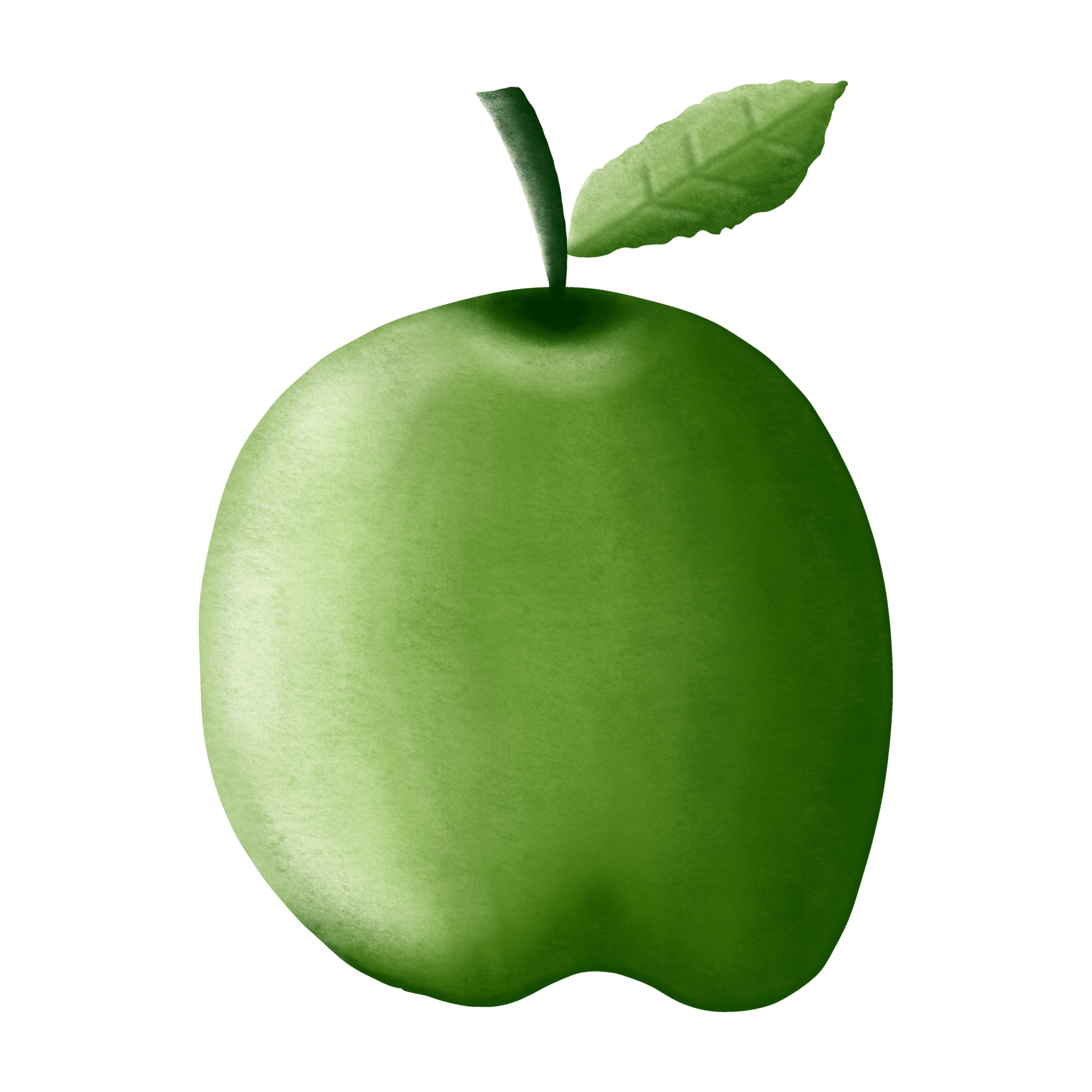 Fruits drawing elements. Illustration realistic green apple drawing