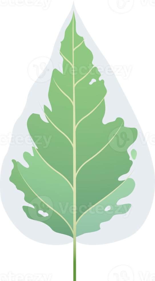 leaves green color png