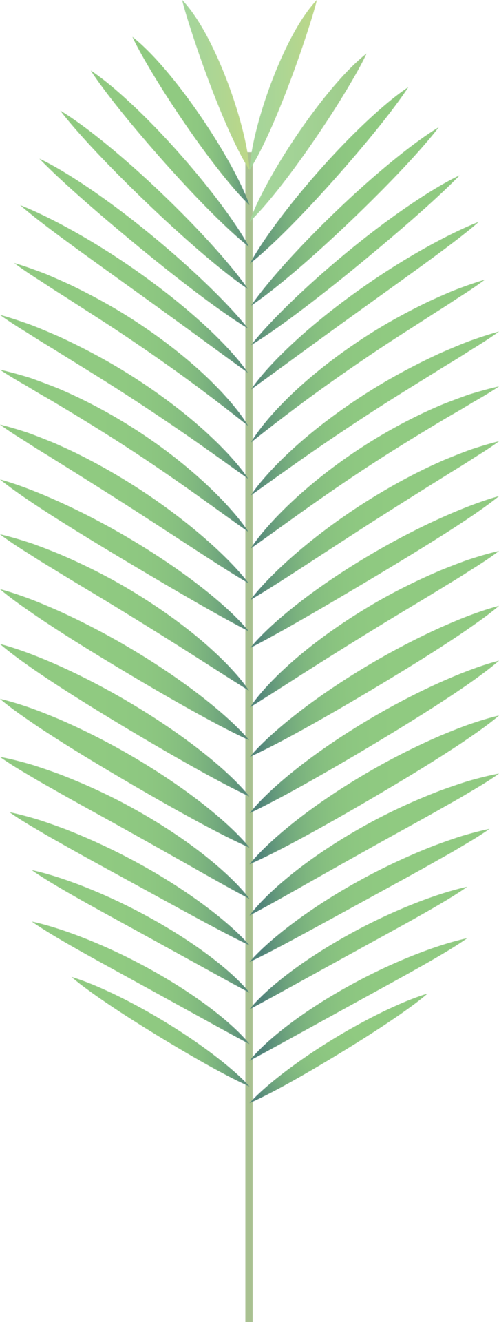 hojas-de-color-verde-18983838-png