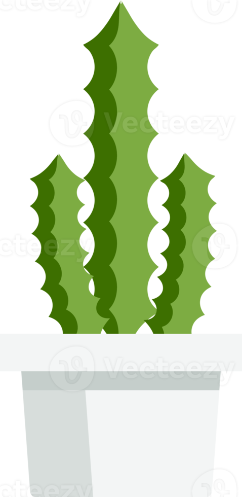 cactus succulent flat color png