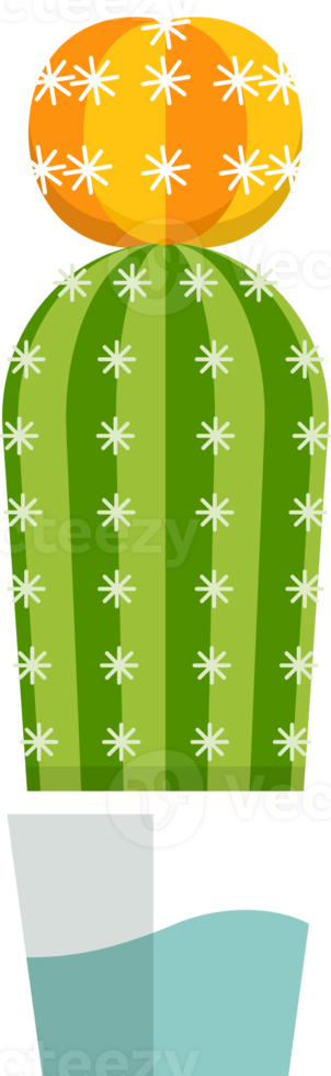 cactus succulent flat color png