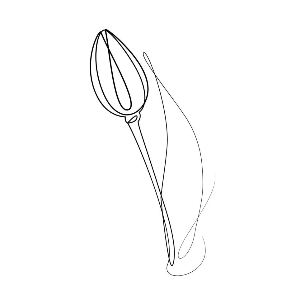 Outline drawing of a tulip flower in one line in a minimalist style. line art. One line artwork vector