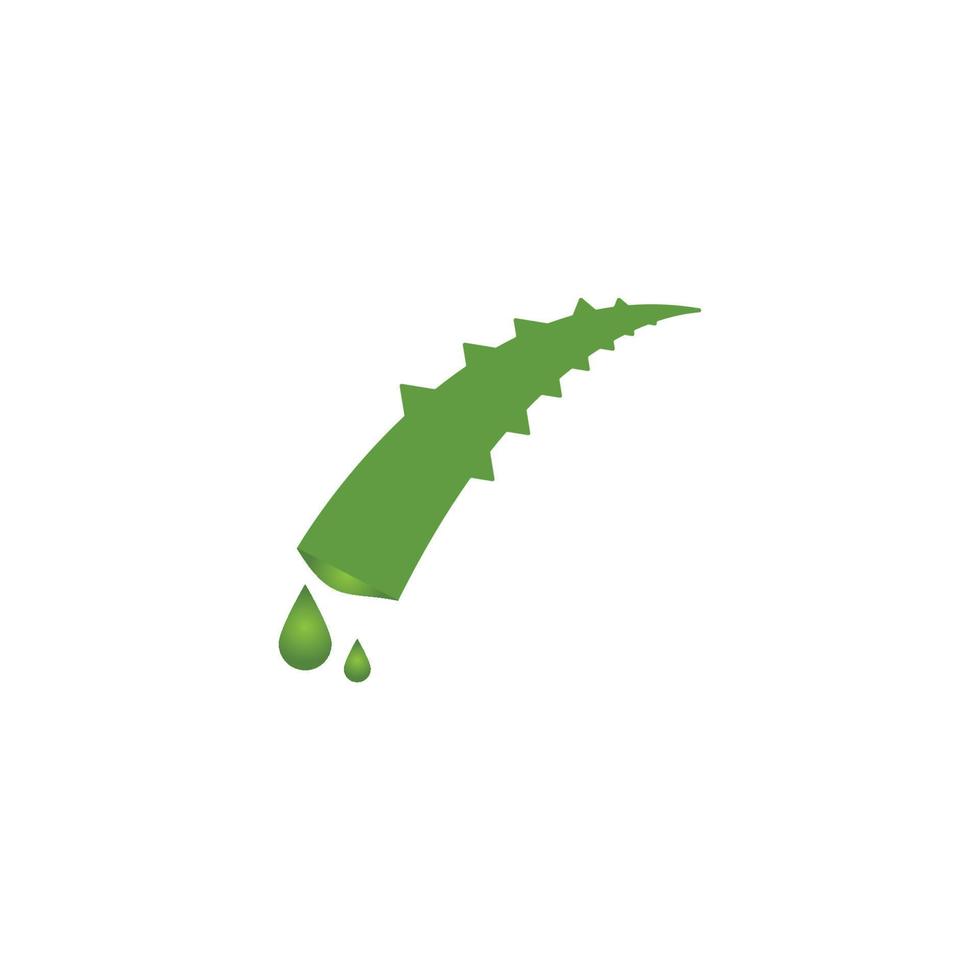 Aloe vera logo vector