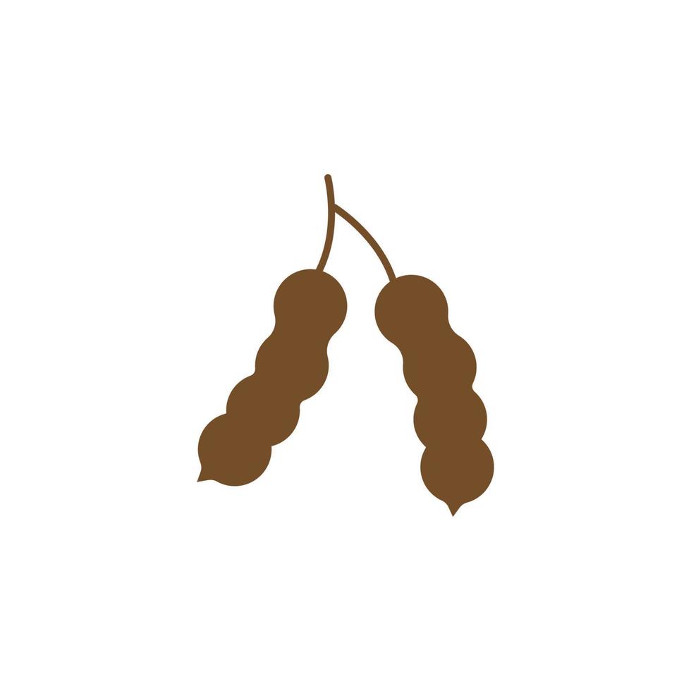 tamarind fresh fruit vector