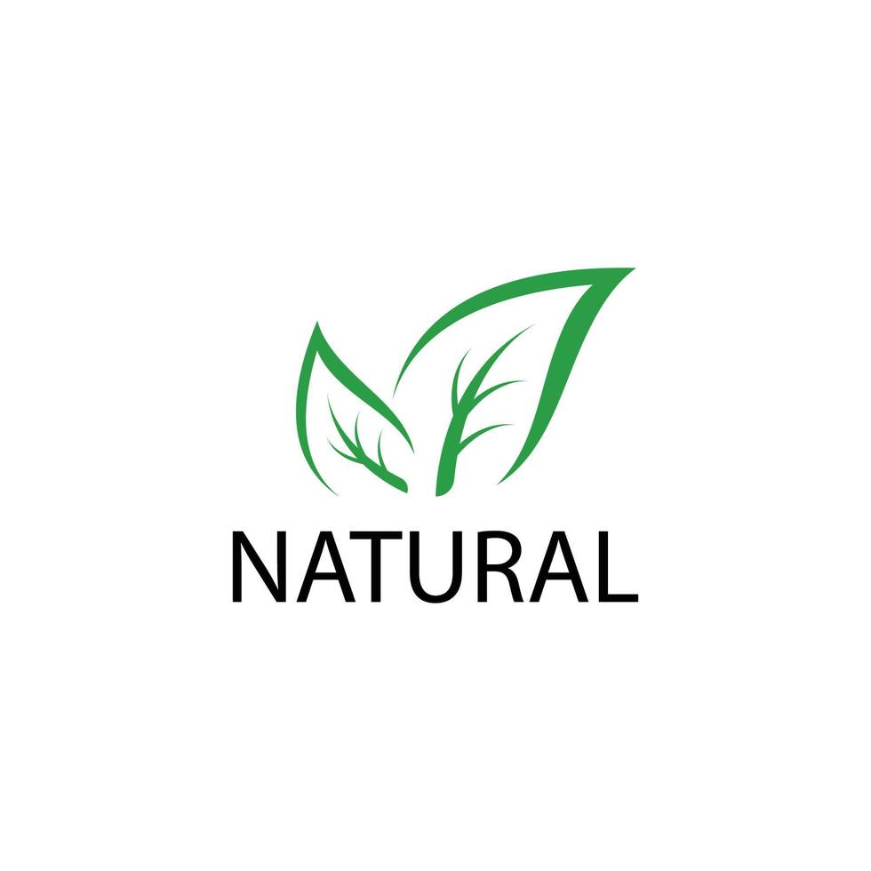 Green leaf logo vector