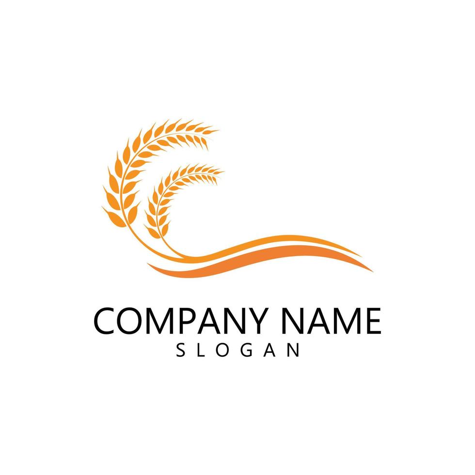 Agriculture wheat Logo vector