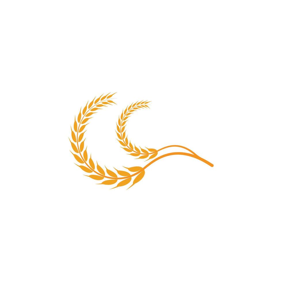 Agriculture wheat Logo vector