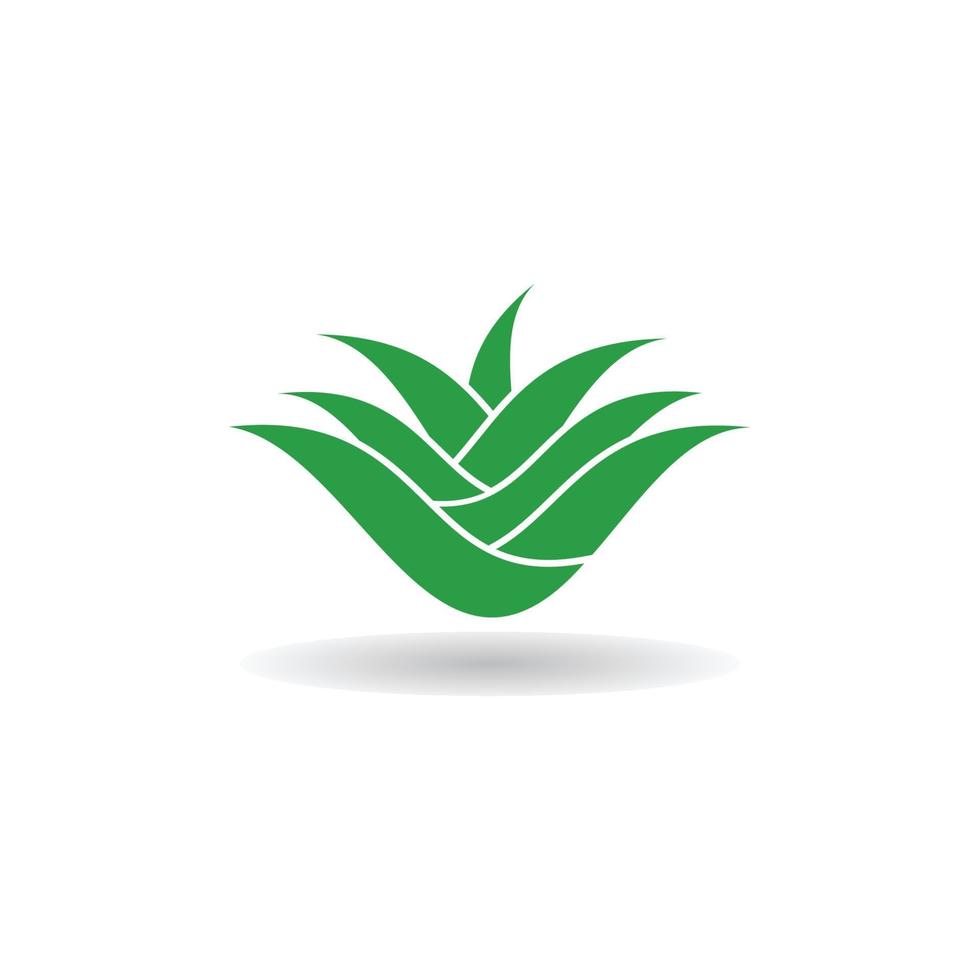 logotipo de aloe vera vector