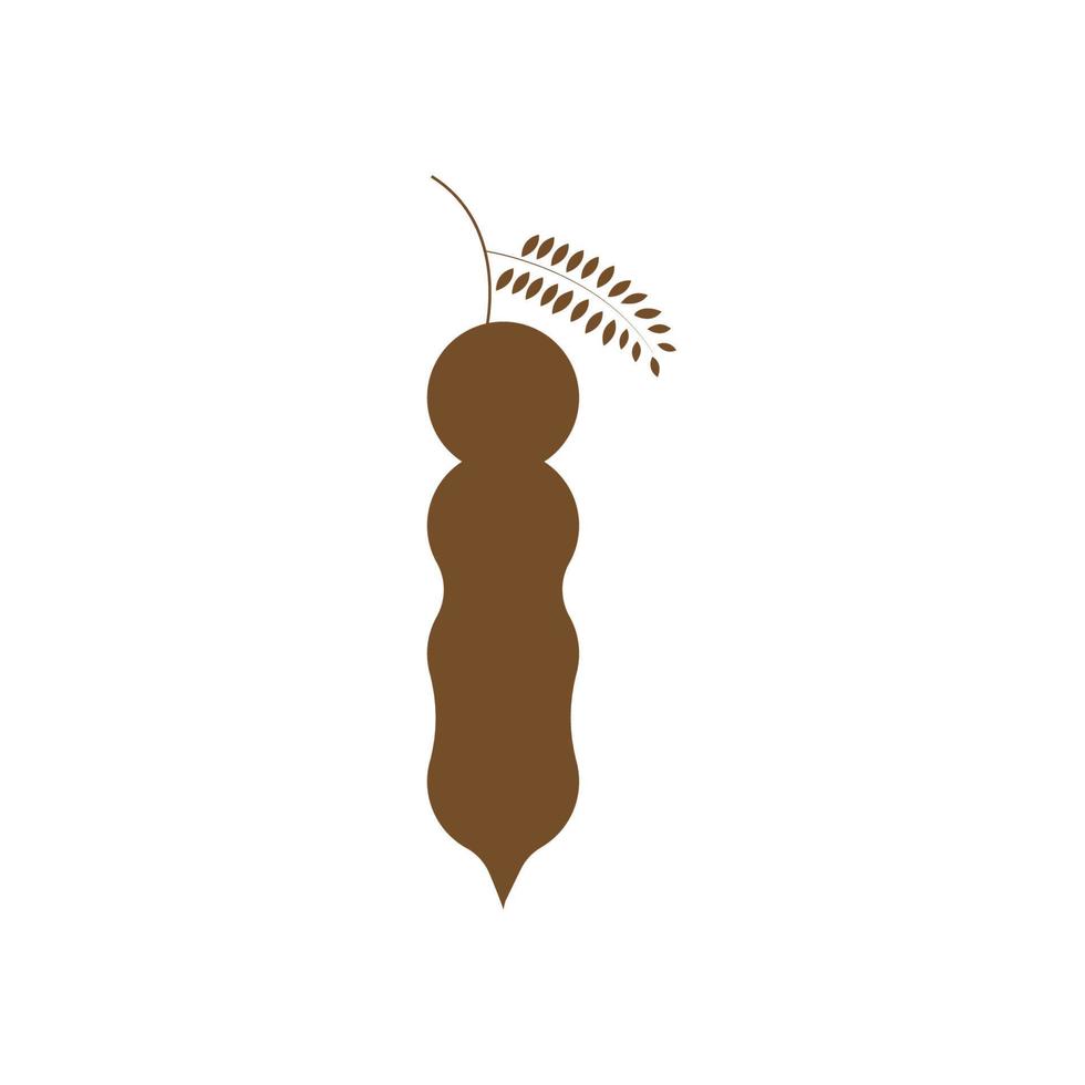 tamarind fresh fruit vector