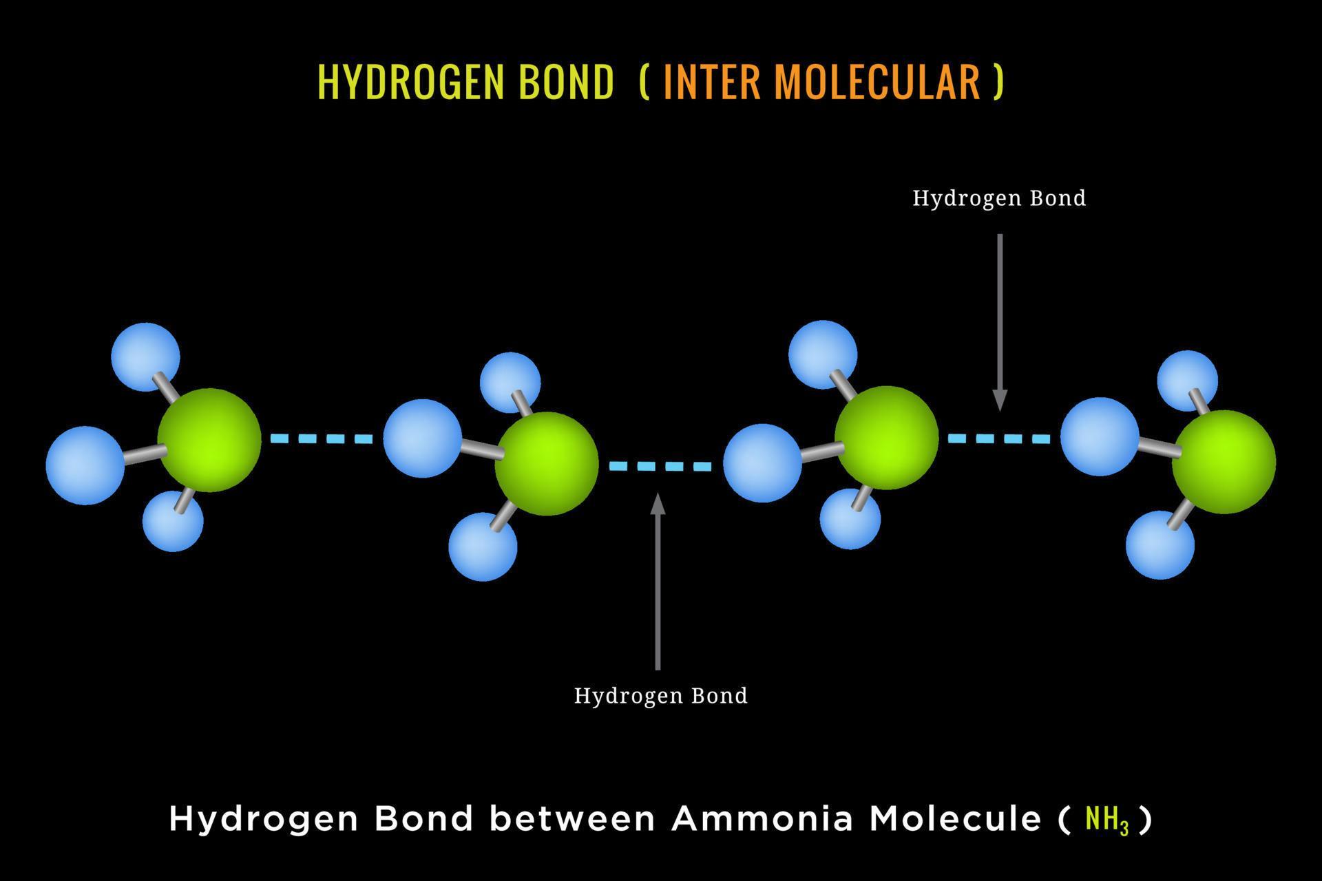 enlace de hidrógeno, enlace de hidrógeno intermolecular entre la molécula de amoníaco 18989215