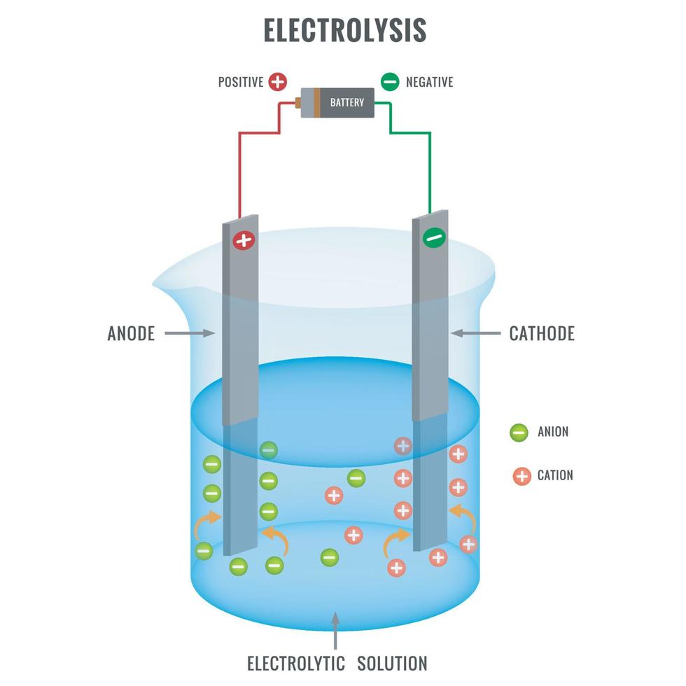 Electrolysis of electrolyte solution in electrochemistry vector