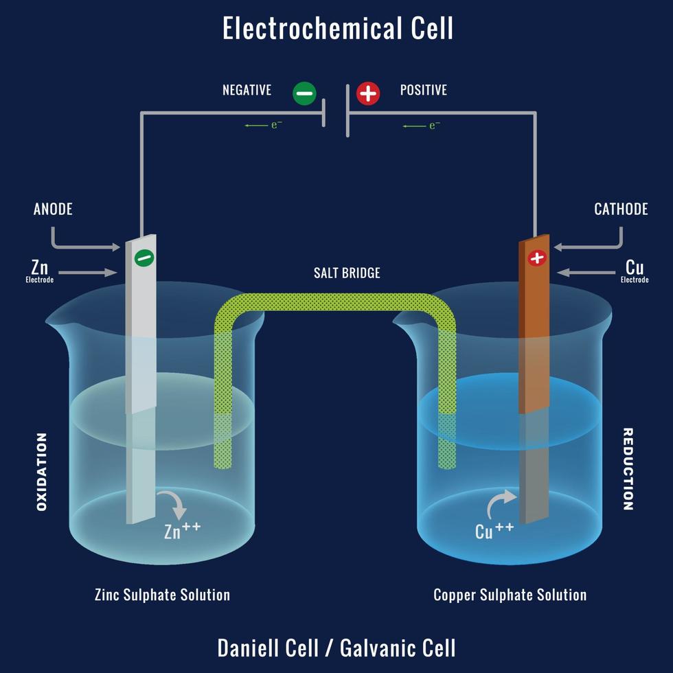Electrochemical cell or Galvanic cell, The Daniell cell 18989226 Vector Art  at Vecteezy
