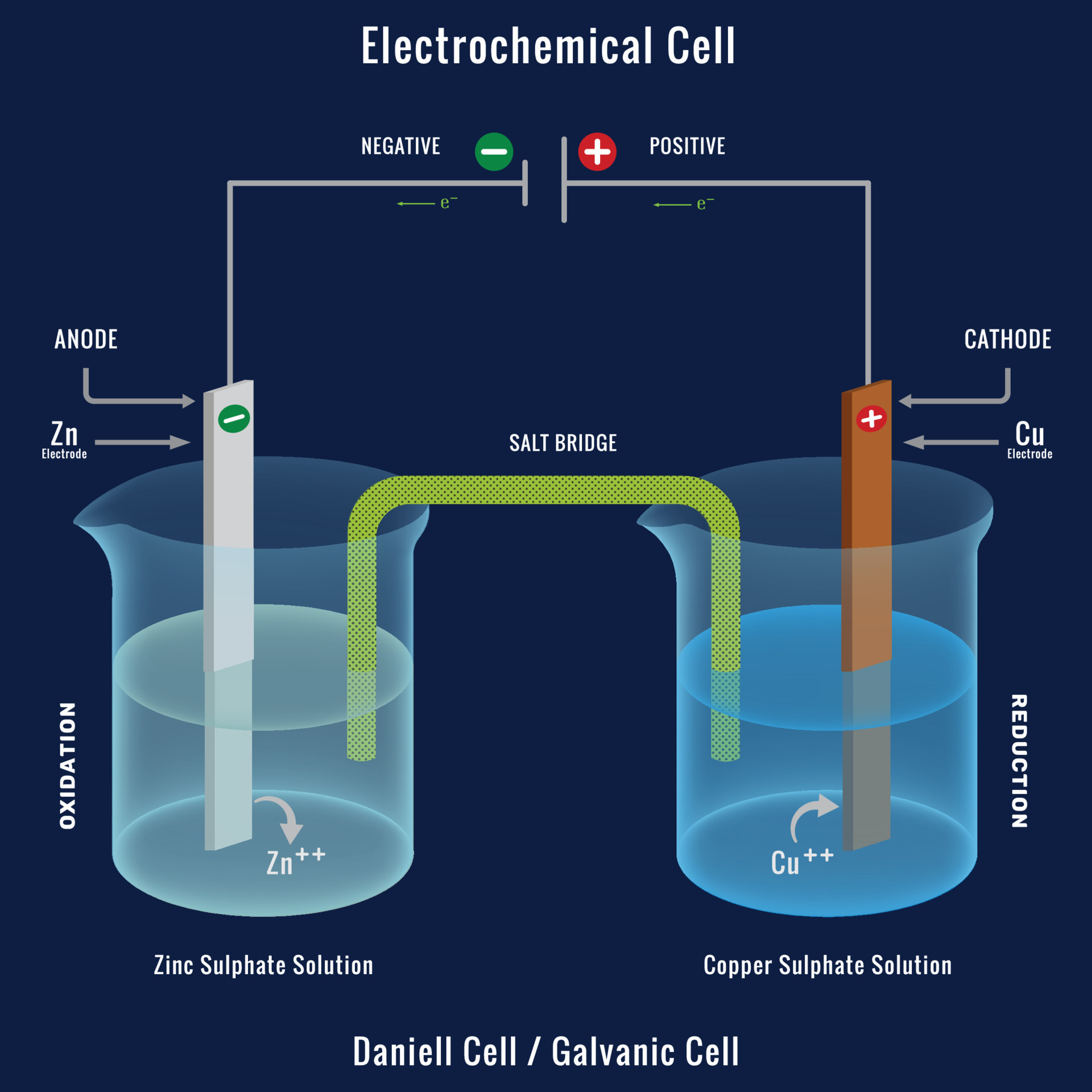 Electrochemical cell or Galvanic cell, The Daniell cell 18989226 Vector