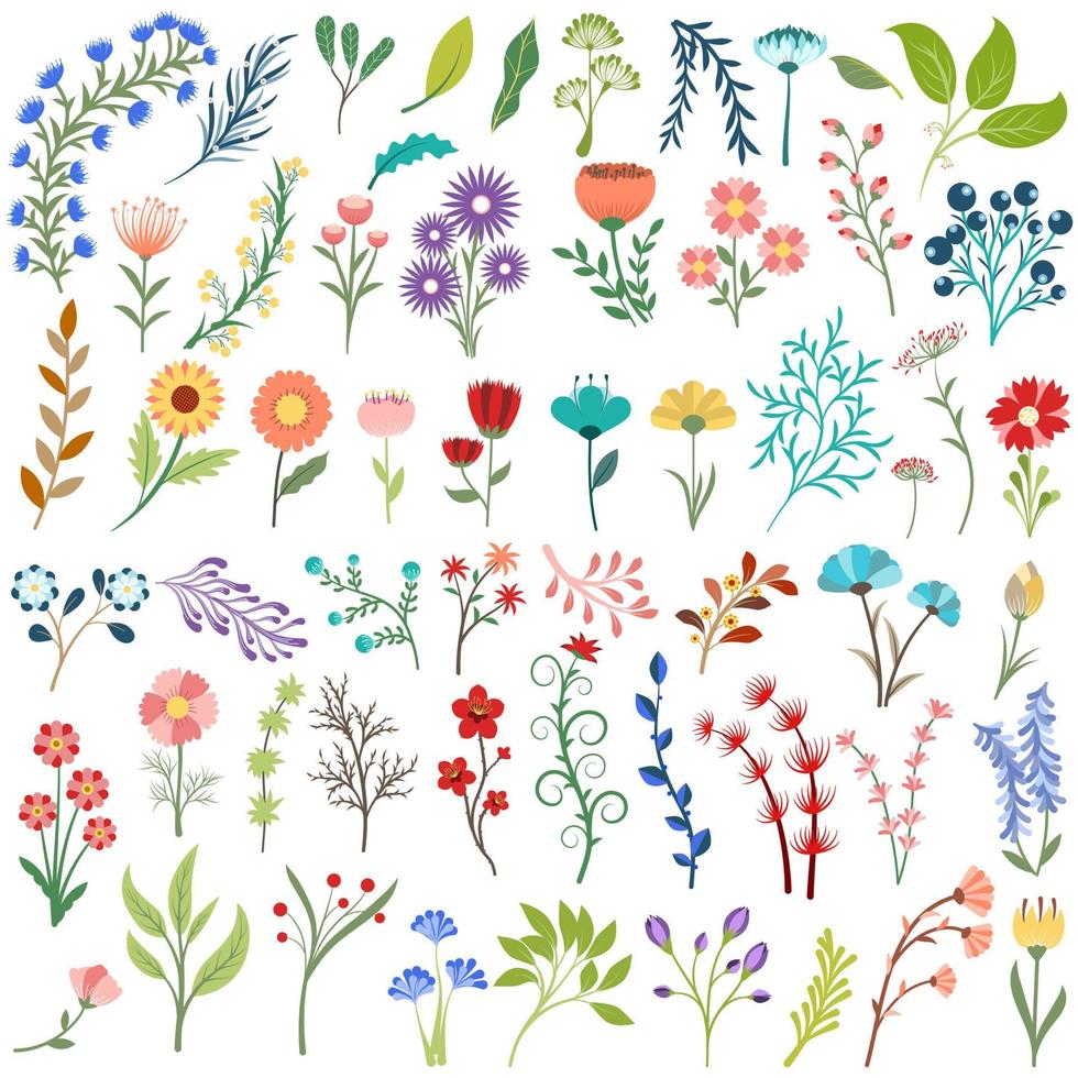 Colorful spring flower collection vector