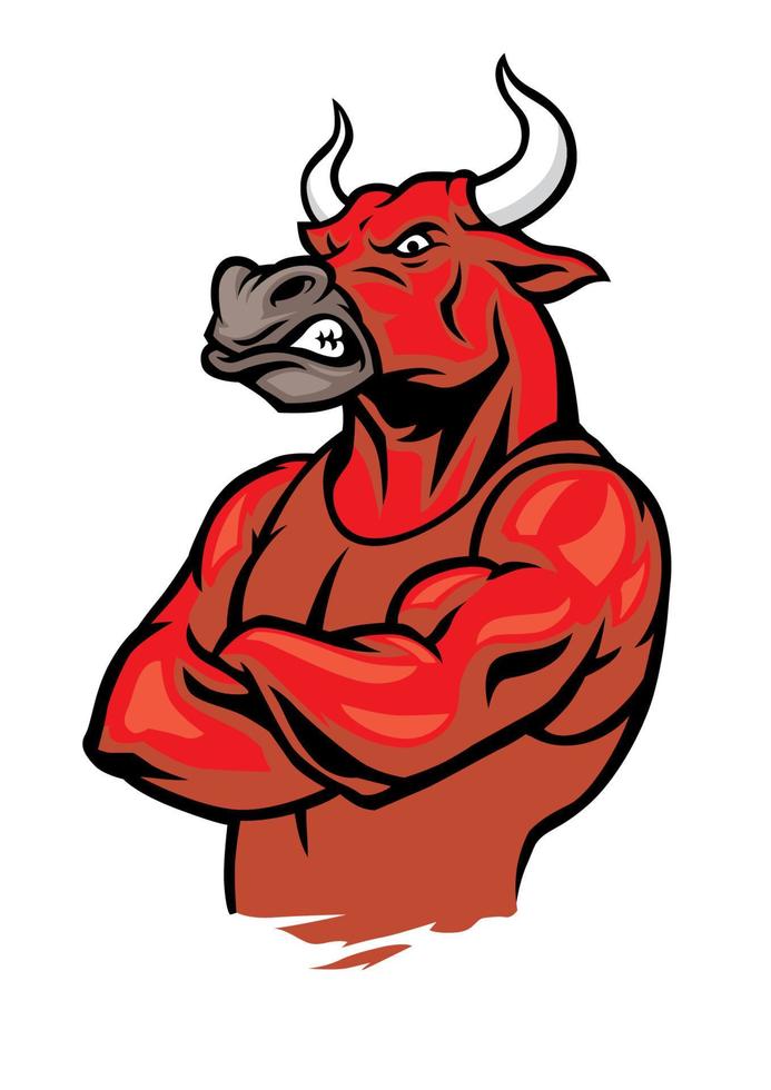 bull in crossed arm pose and showing the muscles vector