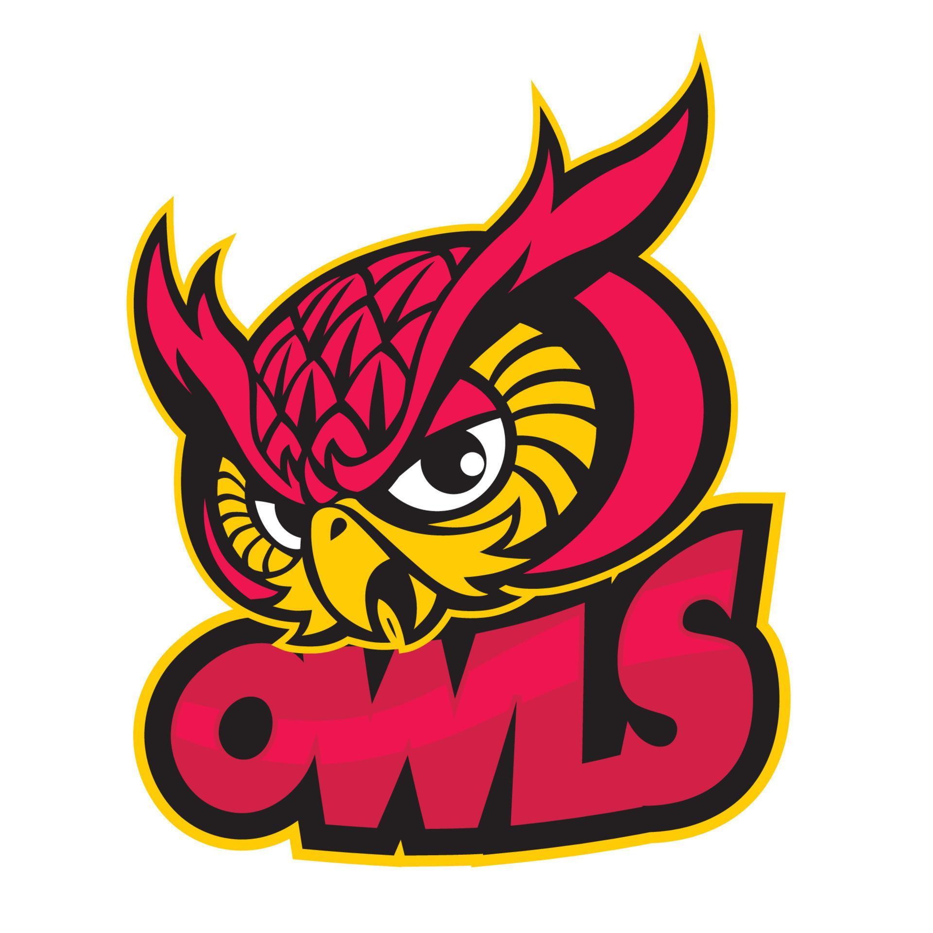 owls head mascot 18990485 Vector Art at Vecteezy