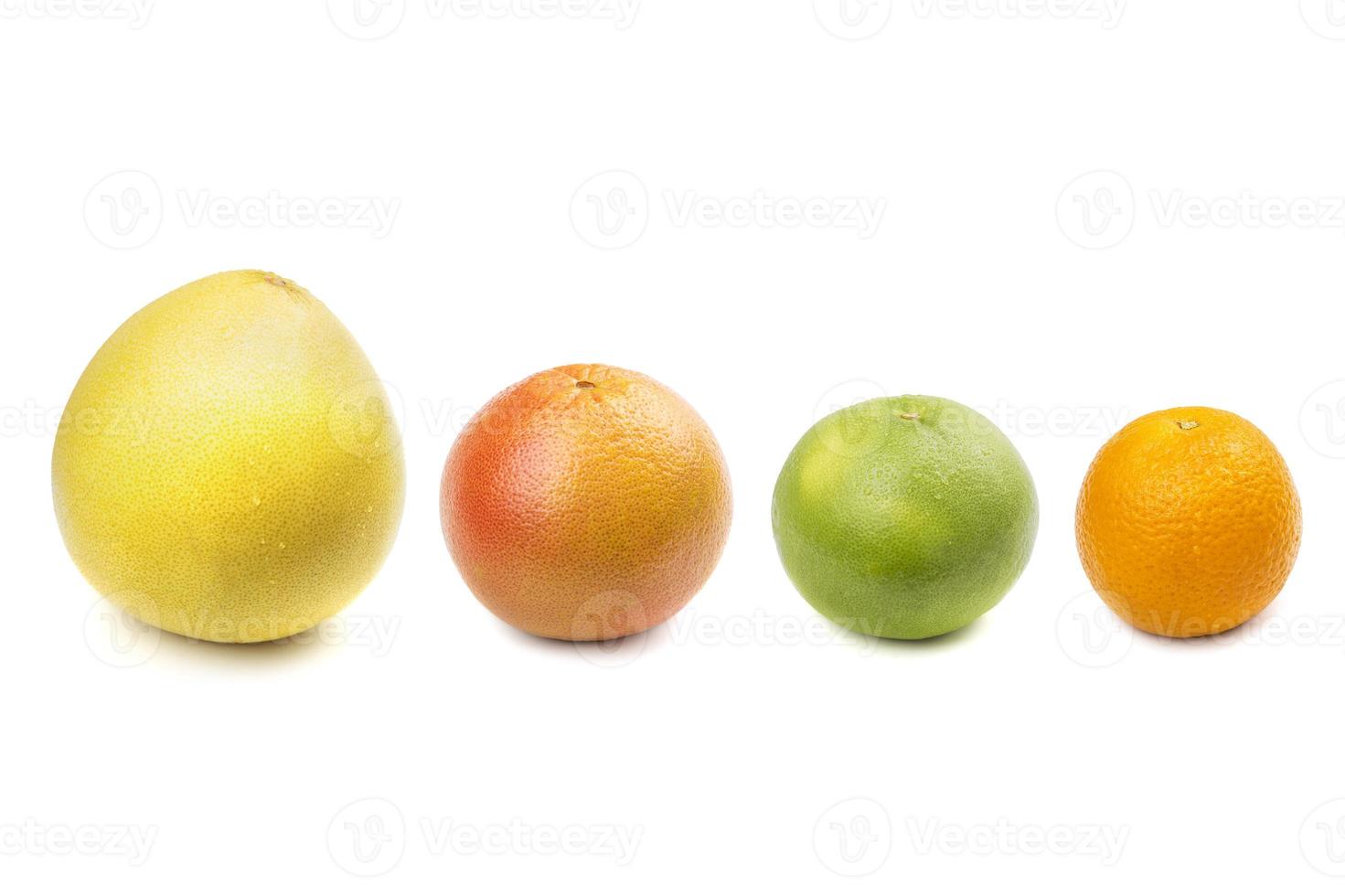Pomelo, grapefruit, sweetie, orange photo