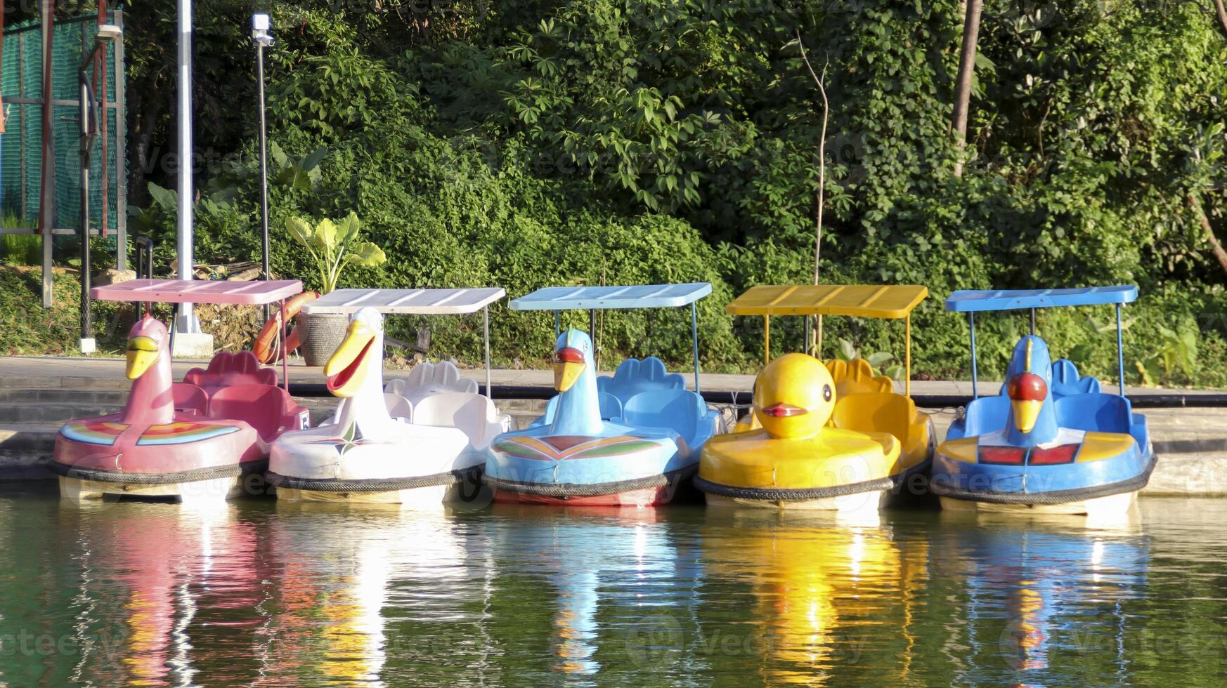 Colorful paddle wheeler pedal boat ducks at the side lake attractions