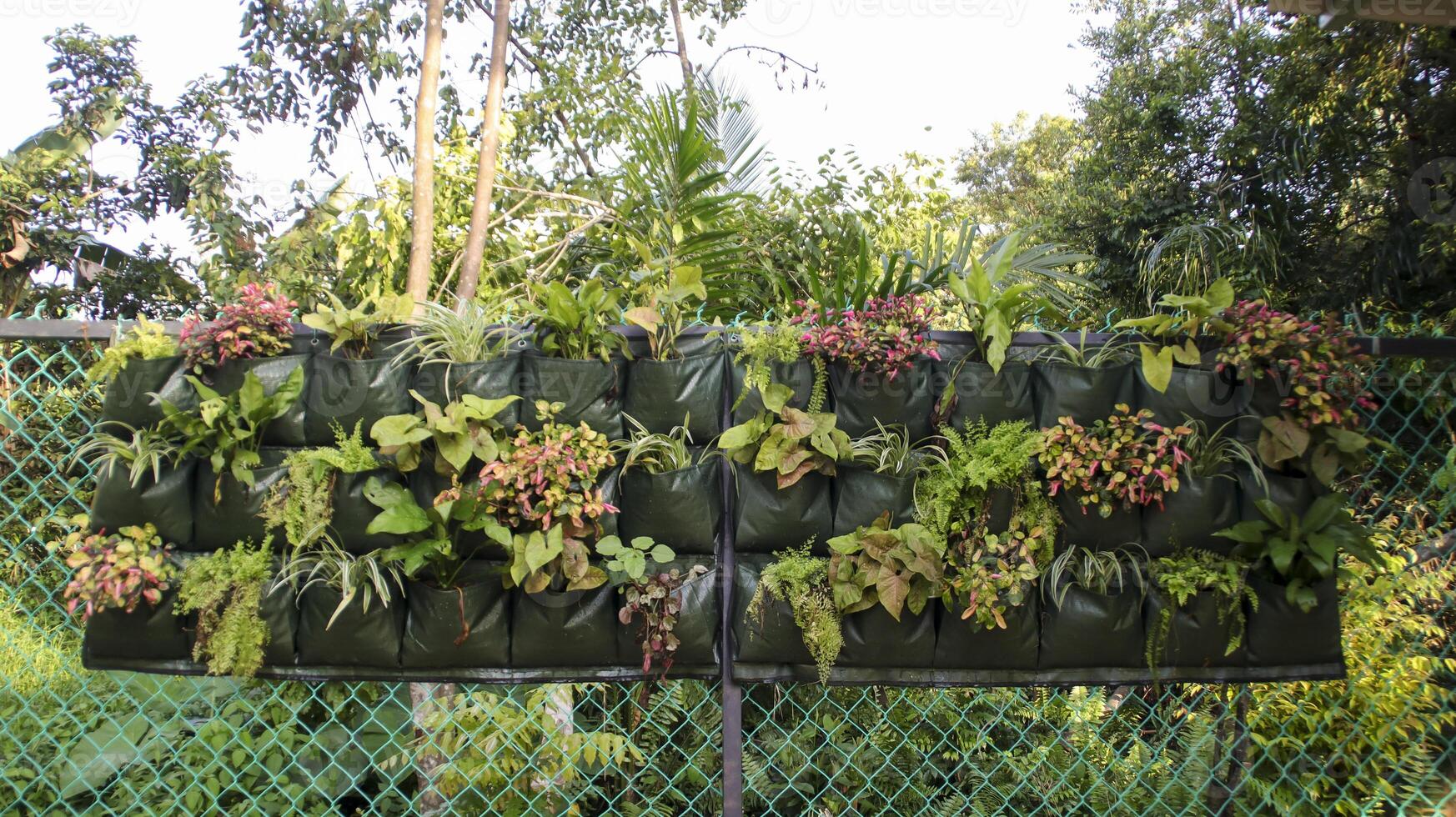 Vertical garden bag or wall planter bag for wall planting, fence or any other vertical. photo