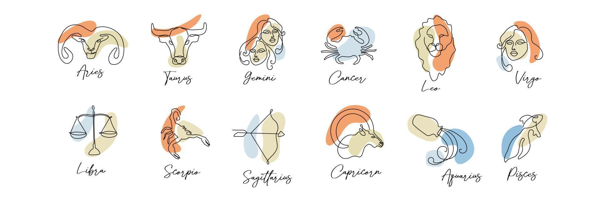 Astrology symbol zodiac signs horoscope set in line art style boho color vector