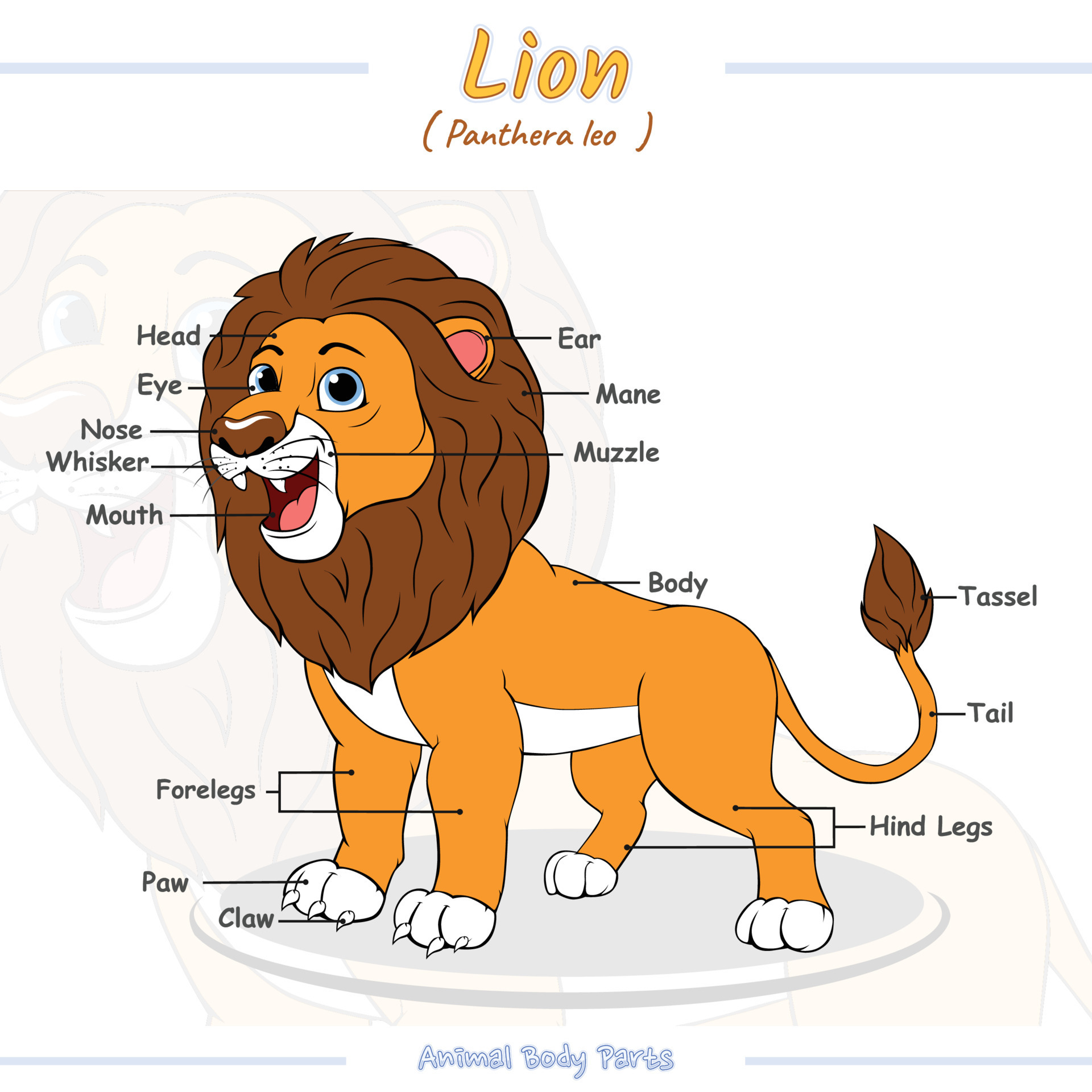 Parts Of A Lion 18991856 Vector Art At Vecteezy