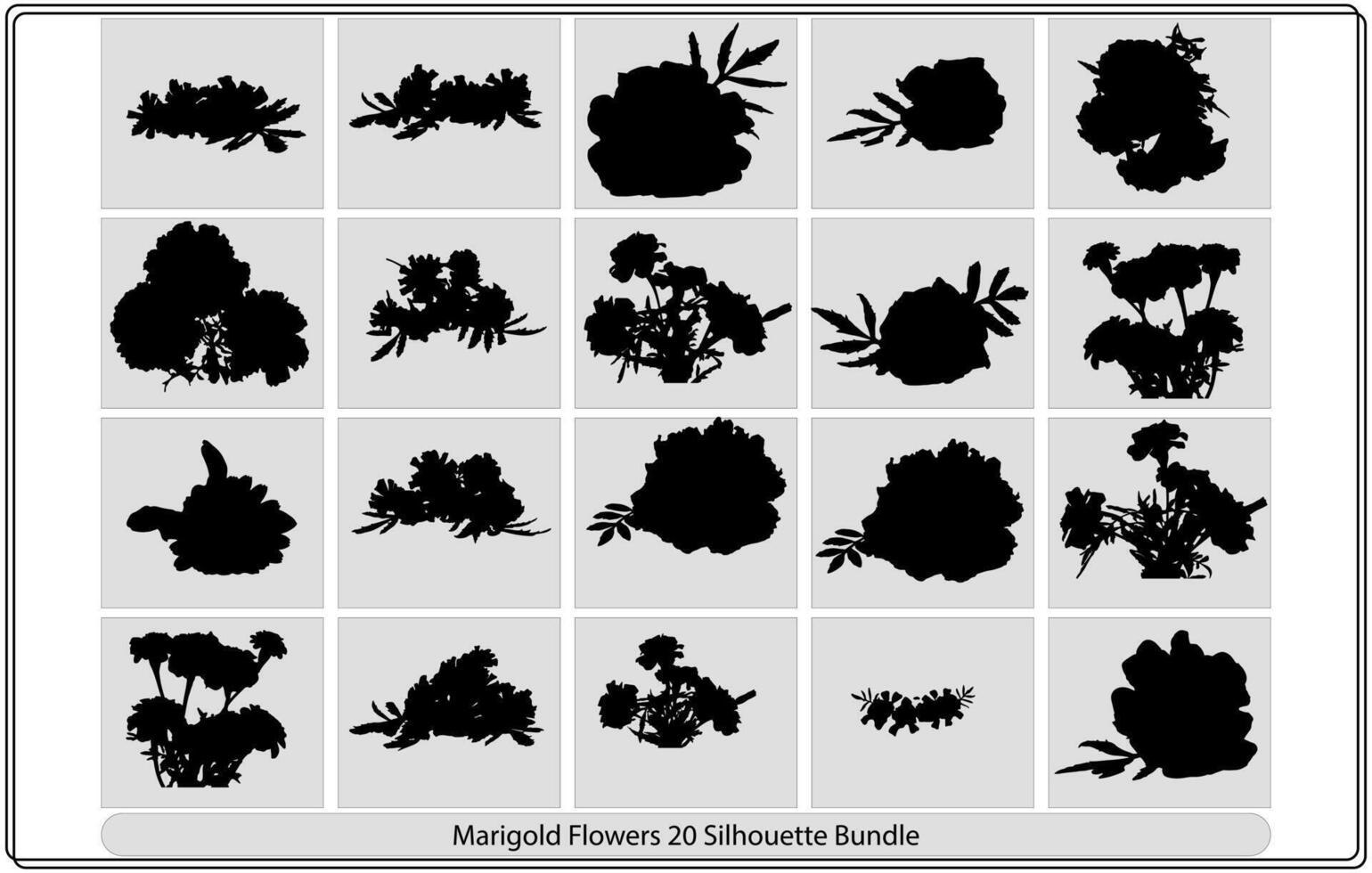 Isolated vector illustration. Branch of marigold flower Black and white silhouette.