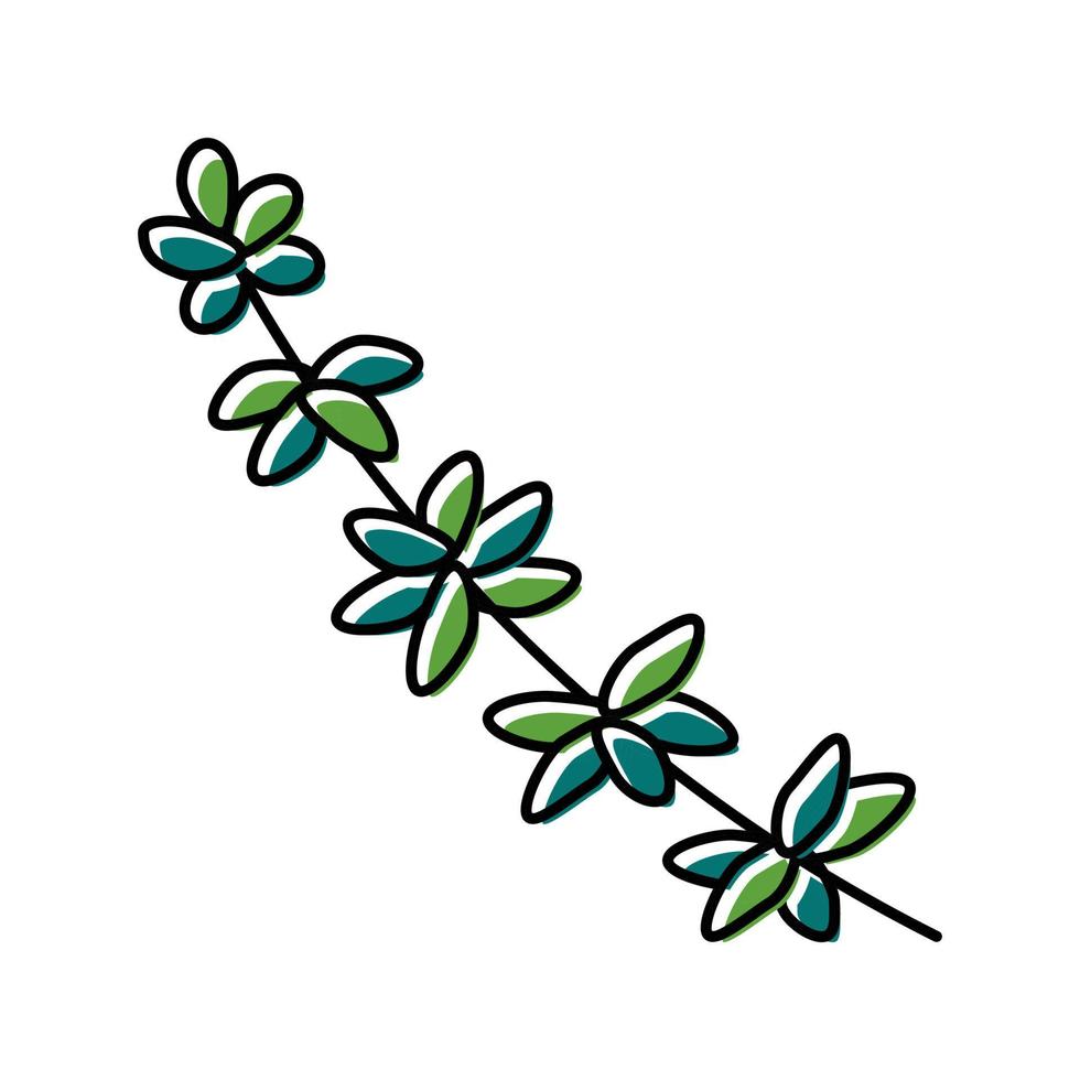 ilustración de vector de icono de color de rama de tomillo