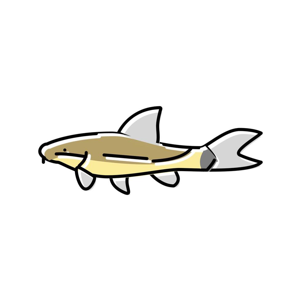 otocinclus fish color icon vector illustration